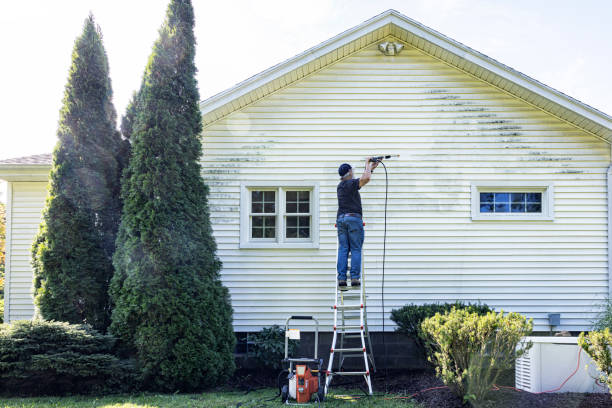 Best Sidewalk and Walkway Cleaning  in Bessemer, AL